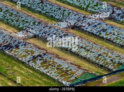 Vue aérienne de serres délabrées avec des panneaux de verre brisés et des toits en mousse dans une ferme industrielle abandonnée comté de Vilnius, Lituanie. Banque D'Images