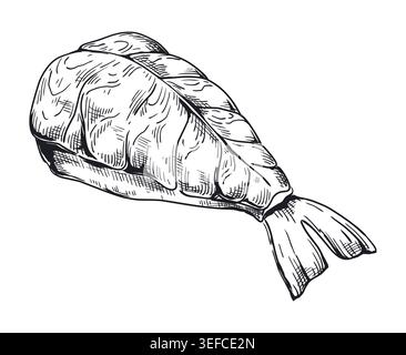 Style croquis de crevettes nigiri. Cuisine asiatique dessinée à la main monochrome détaillée. Pièce de sushi avec du riz et des produits de la mer, menu de restaurant de cuisine traditionnelle japonaise, illustration de gravure isolée vectorielle Illustration de Vecteur