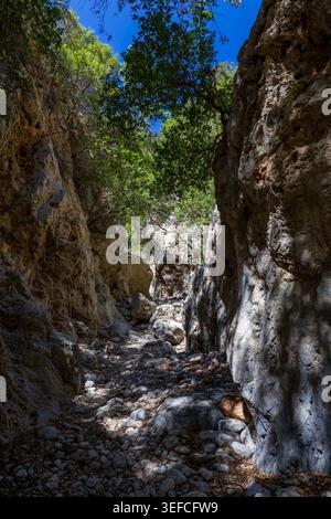 Sentier de randonnée serpentant à travers les parois calcaires étroites de Kritsa gorge en Crète Banque D'Images