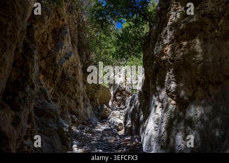 La lumière du soleil filtrant dans une gorge rocheuse profonde avec des rochers et une végétation verte Banque D'Images