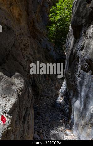 Étroit chemin de canyon avec des parois rocheuses abruptes et un marqueur de sentier rouge en été Banque D'Images