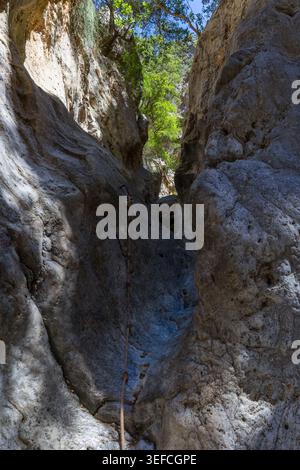 Sentier de randonnée pittoresque à l'intérieur d'une gorge rocheuse profonde avec des arbres verts au-dessus Banque D'Images