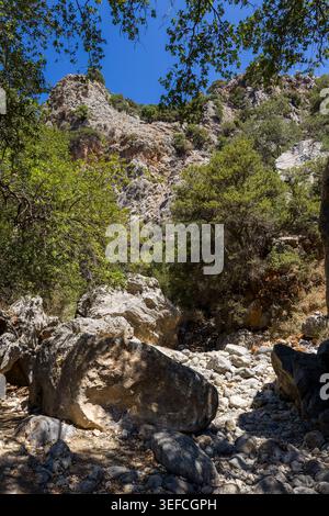 Canyon rocheux ensoleillé avec des arbres verts et des rochers sous un ciel bleu clair Banque D'Images