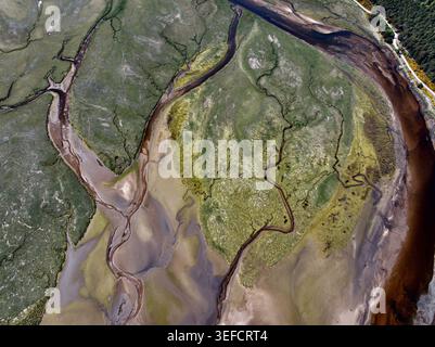 Vue aérienne de la baie de Findhorn montrant des canaux de marée complexes serpentant à travers des marais salants verts et des bancs sablonneux à Findhorn, Écosse, Royaume-Uni. Banque D'Images
