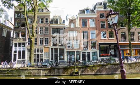 Maisons canal avec de grandes fenêtres, bordées de grands arbres, à Amsterdam, pays-Bas Banque D'Images
