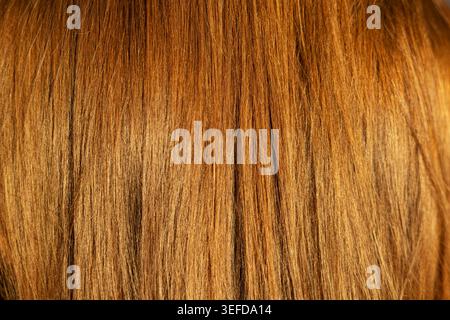 Gros plan texture des cheveux roux brillants. Gros plan détaillé de mèches de cheveux roux lisses montrant une brillance naturelle, une couleur chaude, une texture et des soins capillaires sains Banque D'Images