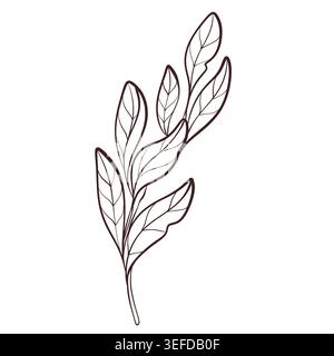 Protea feuilles branche noir et blanc illustration vectorielle d'art de ligne, élément végétal élégant botanique pour la conception Illustration de Vecteur