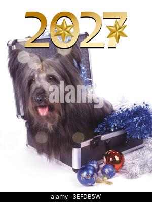Collection de cartes de voeux de célébration du nouvel an 2027. Fonds d'hiver festifs avec décorations de vacances, bougies allumées, numéros dorés Banque D'Images