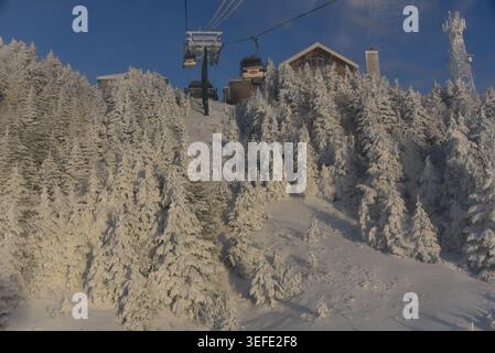 Ski de montagne à Mont Tremblant Québec Canada Banque D'Images