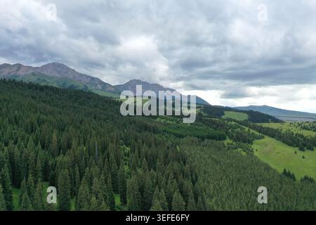 Une perspective aérienne étendue capture des forêts de pins verdoyantes qui s'étendent sur des collines ondulantes sous un ciel couvert spectaculaire avec RU lointain Banque D'Images