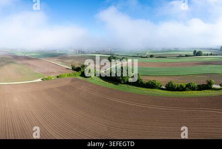 Vue aérienne de champs agricoles et d'une ligne d'arbres avec un village entouré de brume matinale à Grossaffoltern, canton de Berne, Suisse. Banque D'Images