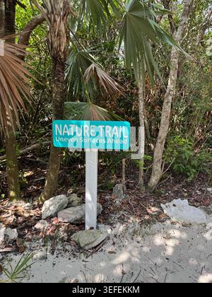 Un panneau en bois vert directionnel indiquant « nature Trail » se tient au milieu des arbres denses de la jungle tropicale et des palmiers. Banque D'Images