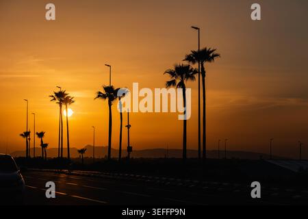 Silhouettes sombres de palmiers et lampadaires bordant une autoroute lors d'un coucher de soleil orange vibrant au Maroc, avec une voiture faible visible Banque D'Images