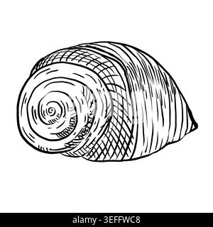 Vecteur d'art de ligne noir et blanc d'un coquillage en spirale avec surface texturée. Illustration marine minimaliste pour l'image de marque du Resort, l'étiquette cosmétique, le voyage Illustration de Vecteur