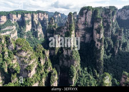 Majestueux piliers de grès s'élèvent de façon spectaculaire au-dessus des vallées verdoyantes à Zhangjiajie, en Chine, montagne Avatar Banque D'Images