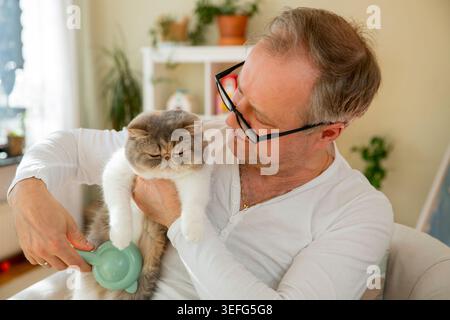 Homme mûr brossant un chat exotique mignon à la maison, routine de toilettage des animaux, soin des animaux, bien-être et mode de vie responsable de la propriété des animaux Banque D'Images