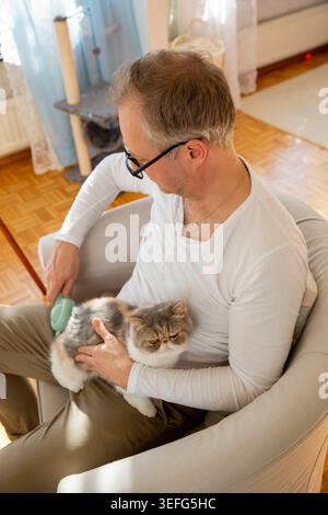 Homme mûr brossant un chat exotique mignon à la maison, routine de toilettage des animaux, soin des animaux, bien-être et mode de vie responsable de la propriété des animaux Banque D'Images