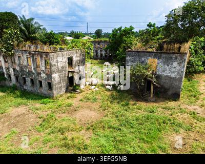 Vue aérienne de bâtiments abandonnés sans toit envahis de verdure et de pâturage de bétail dans la cour à Ahoada I, Rivers, Nigeria. Banque D'Images