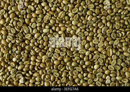 Fond de texture de grains de café vert gros plan Banque D'Images