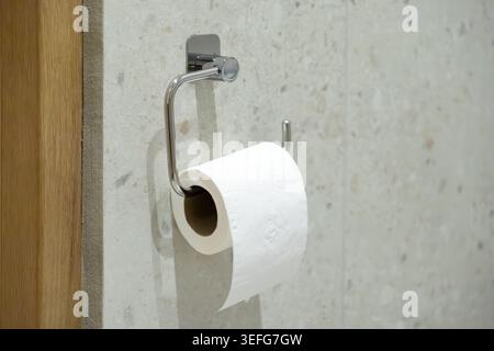 Du papier toilette blanc doux est suspendu à un distributeur mural métallique dans une salle de bain carrelée de pierre, soulignant une routine sanitaire, des fournitures essentielles pour la maison Banque D'Images