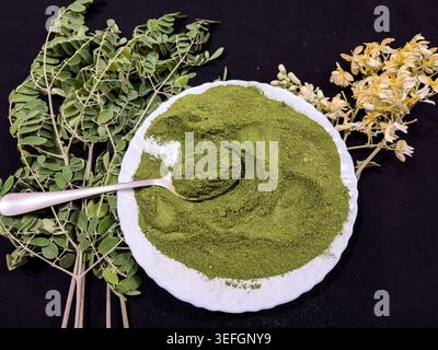 poudre de moringa biologique avec des feuilles vertes et des fleurs de pilon concept naturel à base de plantes Banque D'Images