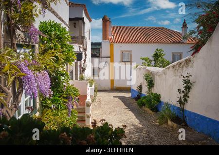 Rues étroites bordées de maisons blanches et de fleurs vibrantes à Obidos, une ville médiévale au Portugal. Banque D'Images