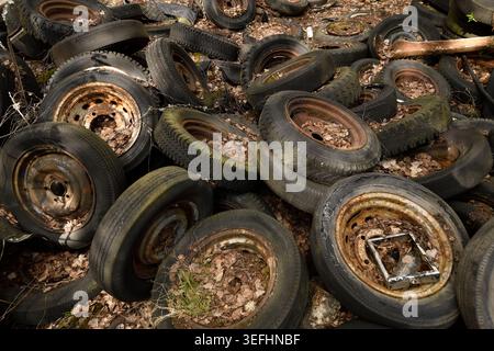 07 mai 2026, Suède, Båstnäs : les roues de vieilles voitures reposent dans la forêt dans une casse de voitures anciennes à la frontière avec la Norvège. Le chantier s'est développé dans les années 1950 à partir de l'atelier de réparation automobile des frères Rune et Thore Ivansson, qui ont profité des taxes d'importation élevées de la Norvège. L'entreprise a été fermée dans les années 80 Sur les plus de 2 000 véhicules construits entre-temps, environ 800 voitures sont encore sur le site aujourd'hui, qui peut être visité gratuitement. Photo : Tim Brakemeier/dpa-Zentralbild/dpa Banque D'Images