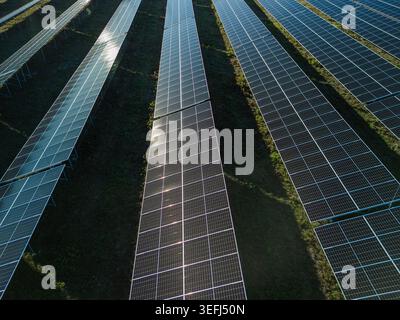 Ferme solaire avec de nombreuses rangées de panneaux photovoltaïques produit de l'énergie renouvelable dans un paysage rural. Banque D'Images
