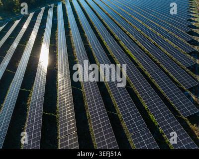 La vue aérienne montre des panneaux solaires disposés en rangées à travers un paysage rural produisant de l'électricité renouvelable pour la région environnante. Banque D'Images