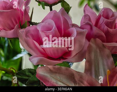 Une plante artificielle d'intérieur rose Magnolia Banque D'Images