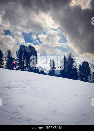 Personne en raquette sur une colline enneigée avec des pins et des montagnes Dolomites sous un ciel spectaculaire dans le Trentin Haut-Adige, Italie Banque D'Images