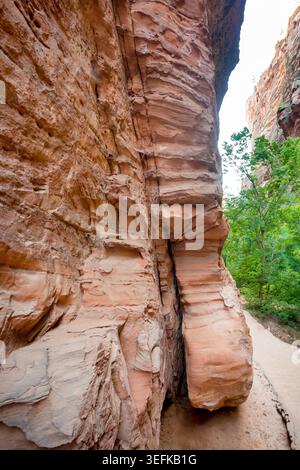 De hautes falaises de grès le long du West Rim Trail jusqu'à Angels Landing dans le parc national de Zion, Utah Banque D'Images