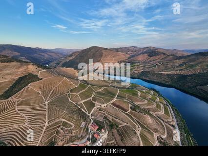 Prise de vue par drone du fleuve Douro bordé par des vignobles en terrasses au Portugal, révélant une conception agricole complexe et un paysage rural pittoresque. Banque D'Images