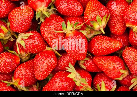 motif texture fraise détail gros plan Banque D'Images