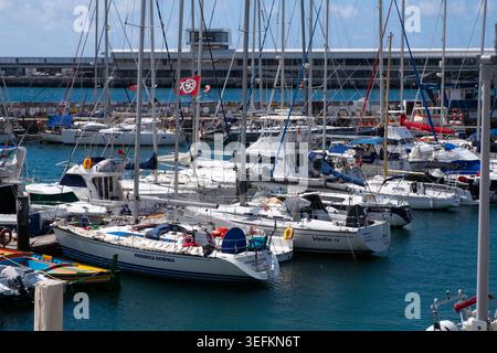 Funchal Madère mai 9th 2026 Une marina à Funchal, Madère, Portugal, est densément peuplée de nombreux voiliers et quelques bateaux à moteur amarrés Banque D'Images