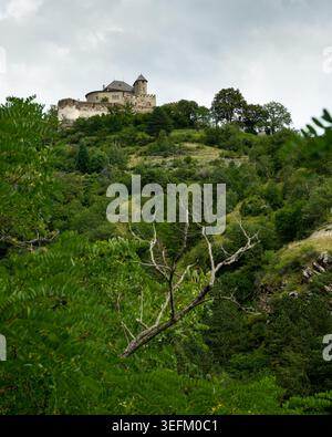 Ruine de château médiéval avec tour ronde s'élève au-dessus d'une colline de forêt luxuriante encadrée par des fougères sous ciel couvert dans la vallée de Vinschgau Tyrol du Sud Italie. Banque D'Images