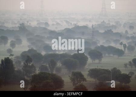 Brume matinale sur les champs du Rajasthan, en Inde Banque D'Images