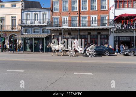 Passagers appréciant les tours en calèche dans le quartier français, la Nouvelle-Orléans, Louisiane, États-Unis. Banque D'Images