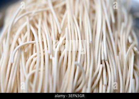 Texture de nouilles brutes avec arrière-plans flou Macro photographie Banque D'Images