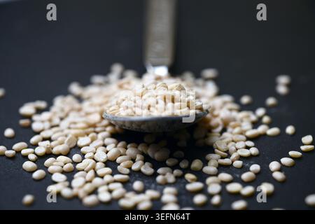 Split urad Dal tenu dans une cuillère, angle vue de dessus Macro alimentaire prise sur des arrière-plans avec flou foncé et éclairage dramatique Banque D'Images
