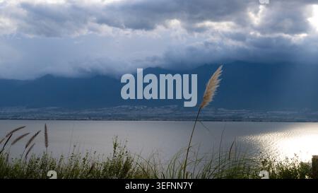Roseau se balançant dans la brise au-dessus du lac Erhai à l'heure bleue à Dali, Yunnan, Chine, avec la lumière du soleil illuminant le lointain bord du lac sous Clo spectaculaire Banque D'Images