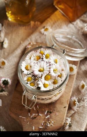 Préparation de sirop à base de plantes à partir de fleurs de marguerites de pelouse et de sucre Banque D'Images