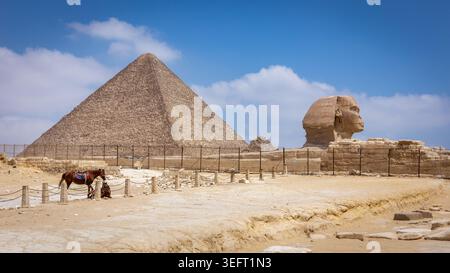 Vue sur le plateau de Gizeh avec la Grande Pyramide de Gizeh (Pyramide de Cheops) et le Grand Sphinx de Gizeh, site archéologique clôturé avec des chevaux debout. Banque D'Images