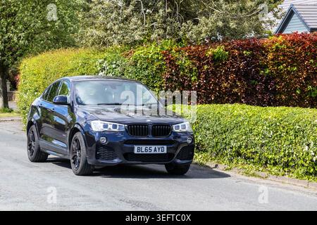 Un SUV crossover de luxe BMW X4 noir passant devant des haies de jardin vertes et rougeâtres sur une rue résidentielle tranquille. Banque D'Images