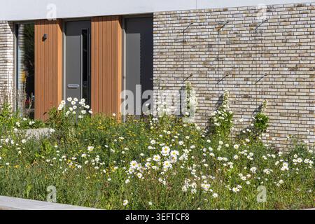 Maison contemporaine en brique dans une zone de banlieue tranquille d'Ede, pays-Bas avec revêtement vertical en bois, grandes fenêtres, un porche et une zone sauvage naturelle Banque D'Images