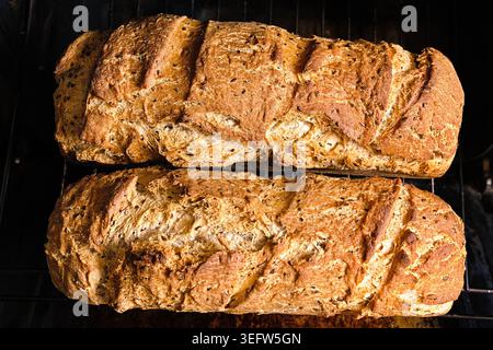 Deux pains de grains entiers dorés fraîchement cuits sur grille de four avec croûte croustillante. Banque D'Images