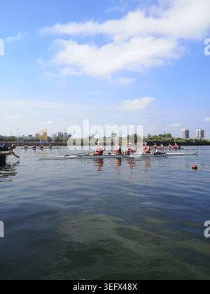 Compétition d'aviron, Regatta Centre, East London, Royaume-Uni Banque D'Images