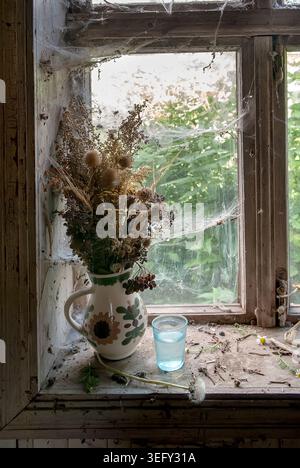 Fenêtre avec toiles d'araignée et bouquet de fleurs séchées. Mise au point sélective Banque D'Images