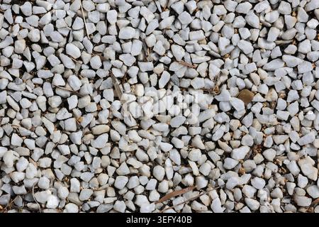 Texture de fond plein cadre de petites pierres de quartz blanc et de cailloux dispersés avec des débris organiques secs Banque D'Images
