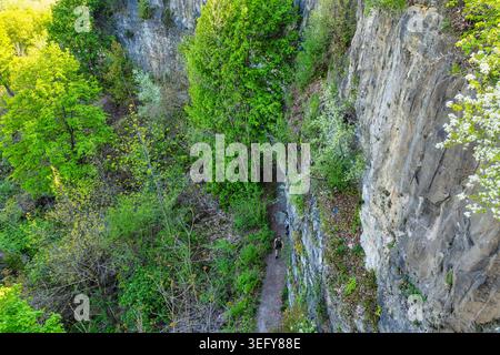 En regardant vers le bas depuis le sentier Niagara Glen, un étroit sentier de terre s’accroche au bord des falaises abruptes et anciennes de Wintergreen Flat où se trouve l’historique Nia Banque D'Images